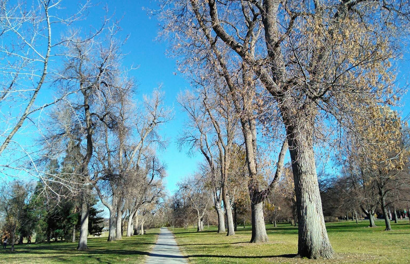 City Park Denver family photo location