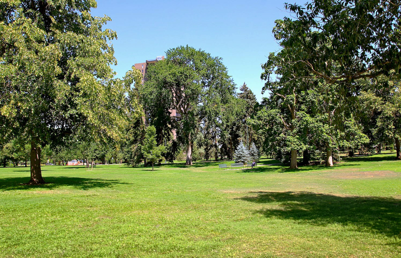 Washington Park family photo location in Denver